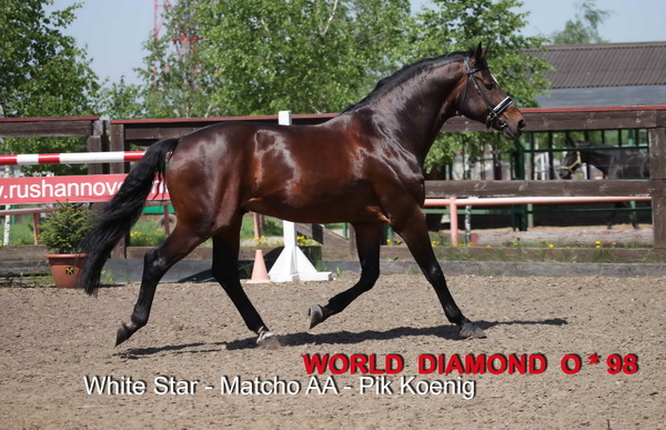 WORLD DIAMOND O - 1998 (White Star/ Matcho AA /Pik Koenig)